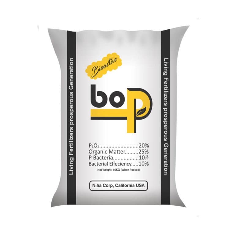 Bioactive Phosphate Product